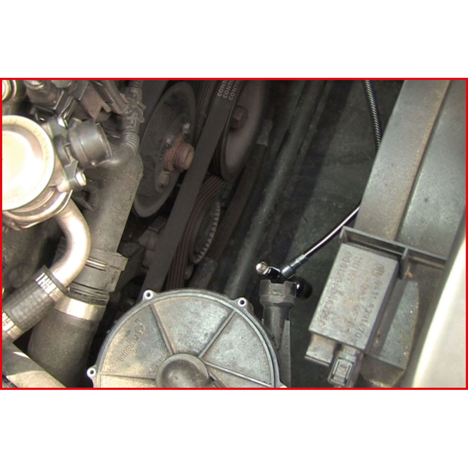 fot_anw_alg_auto_550.102x_5-7_.aw5_sall_aing_v1