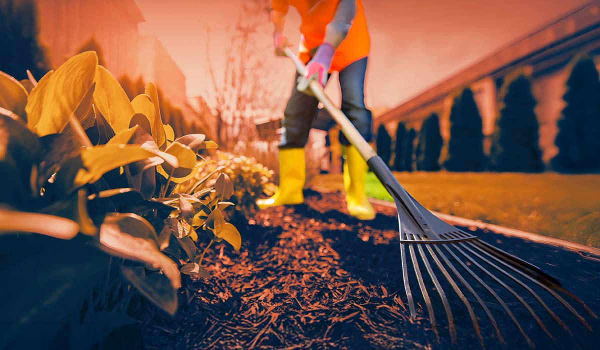 Gartenangebote