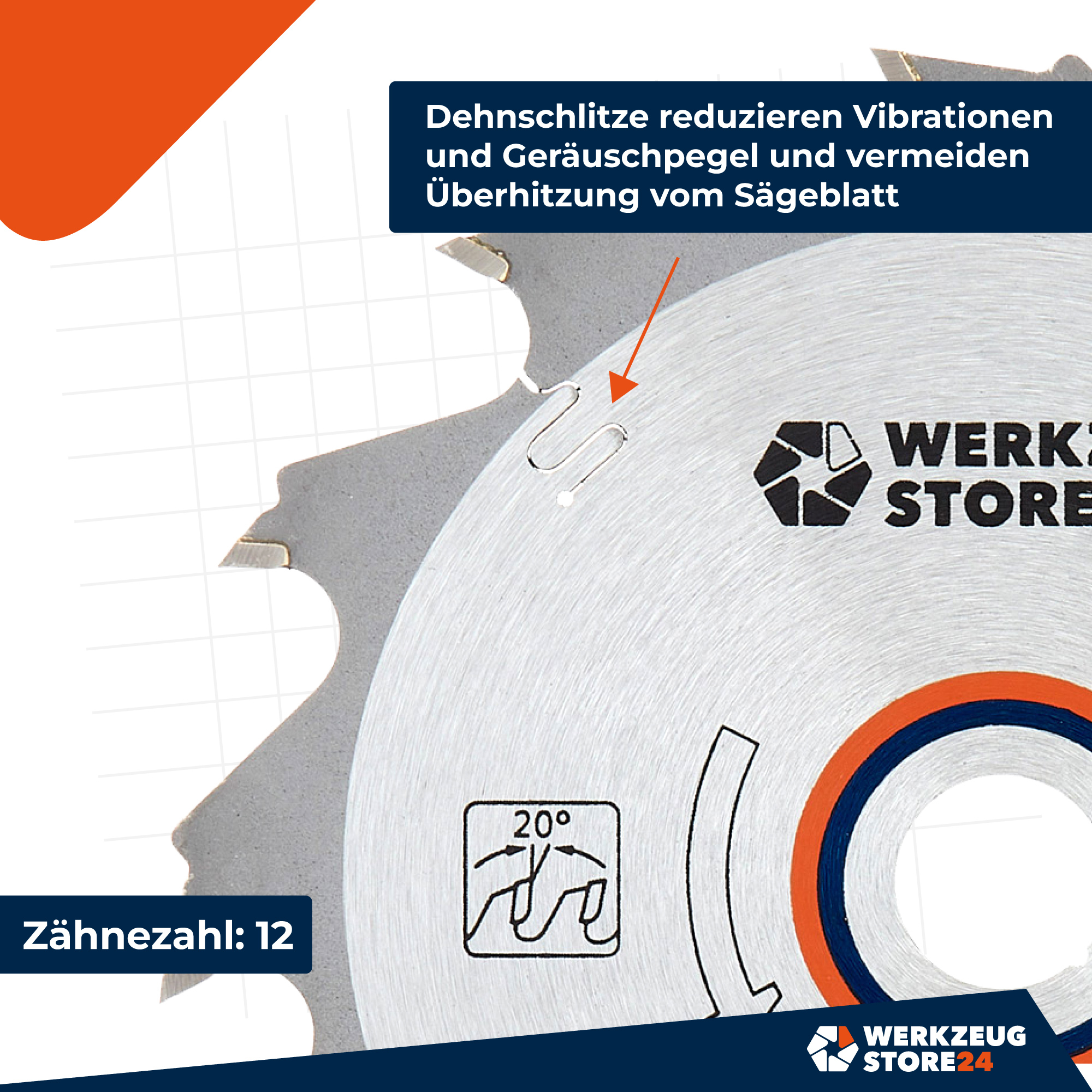 ws24-100077_hm_kreiss_geblatt_zeichenfl_che_5