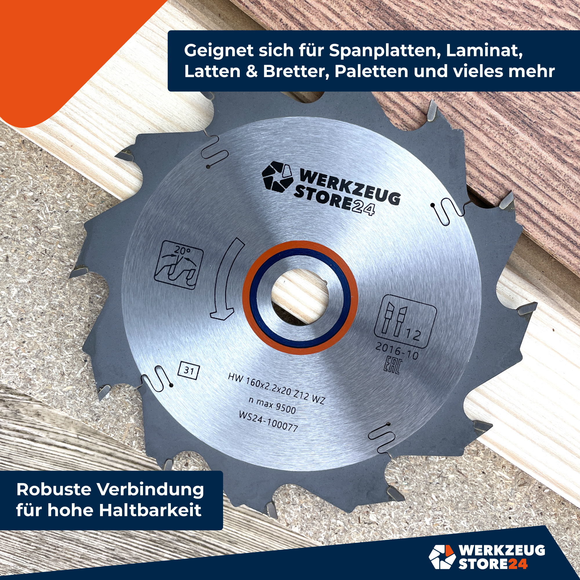 ws24-100077_hm_kreiss_geblatt_zeichenfl_che_2