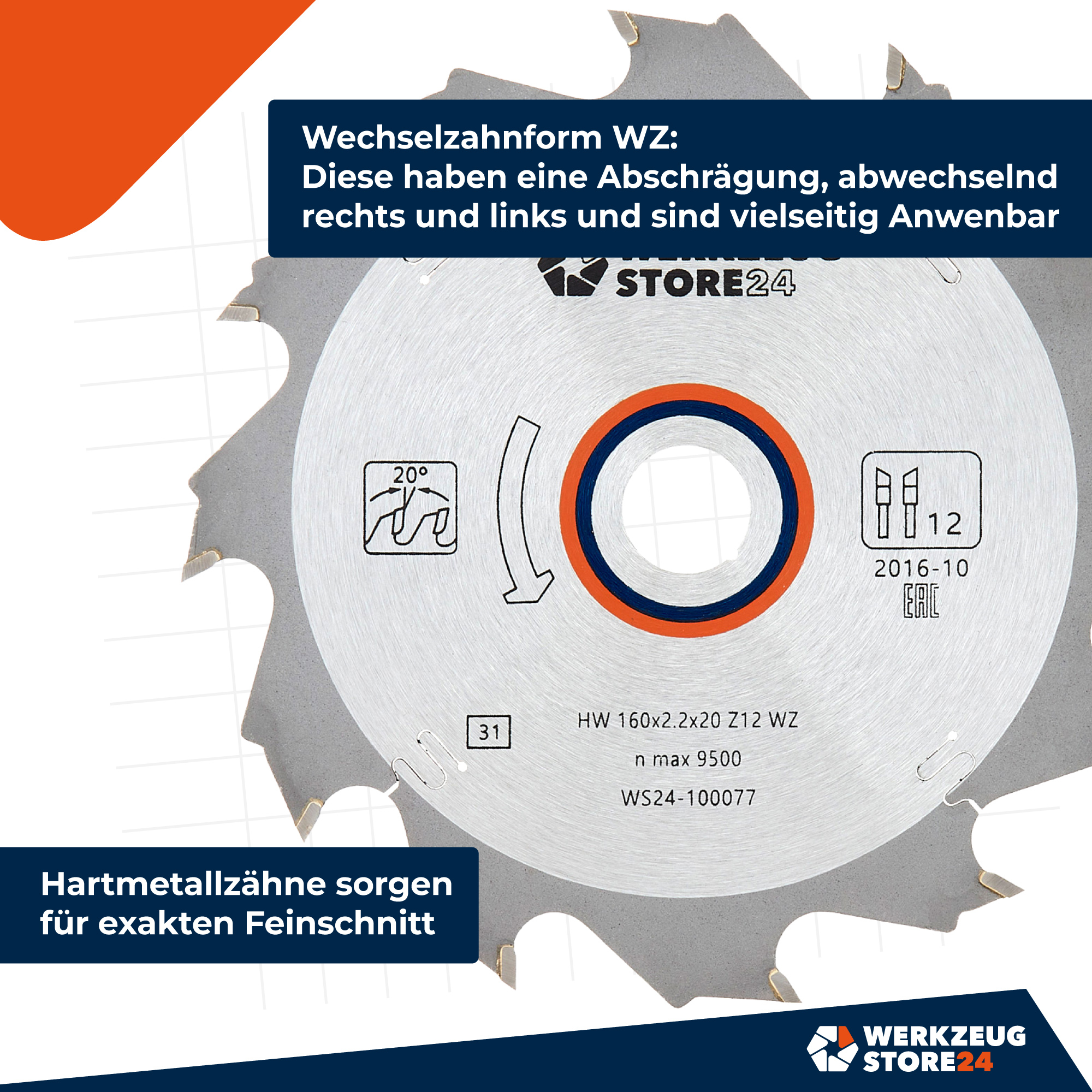 ws24-100077_hm_kreiss_geblatt_zeichenfl_che_4