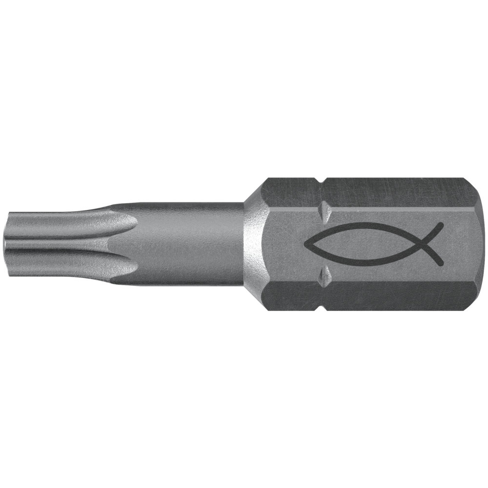 Fischer 10x ProfiBit FPB T 30 - 557849
