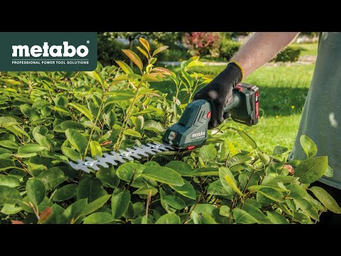 Metabo Akku-Strauch- und Grasschere 12 V PowerMaxx SGS 12 Q in metaBOX 145 - 601608840